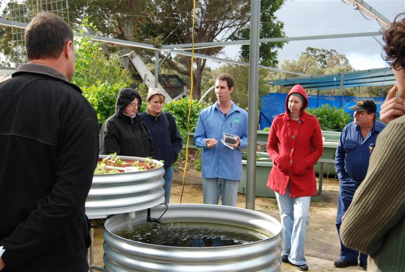 15tth August 2009 073 (Medium).jpg