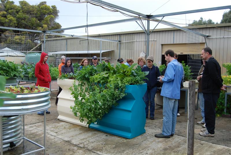 15tth August 2009 072 (Medium).jpg