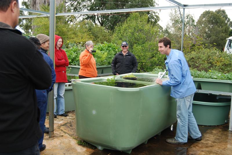 15tth August 2009 077 (Medium).jpg