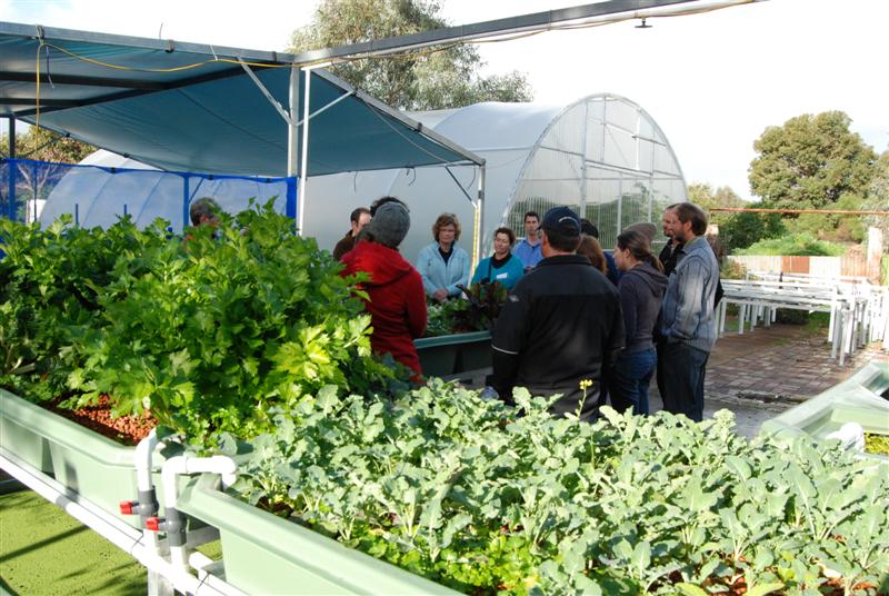 15tth August 2009 088 (Medium).jpg