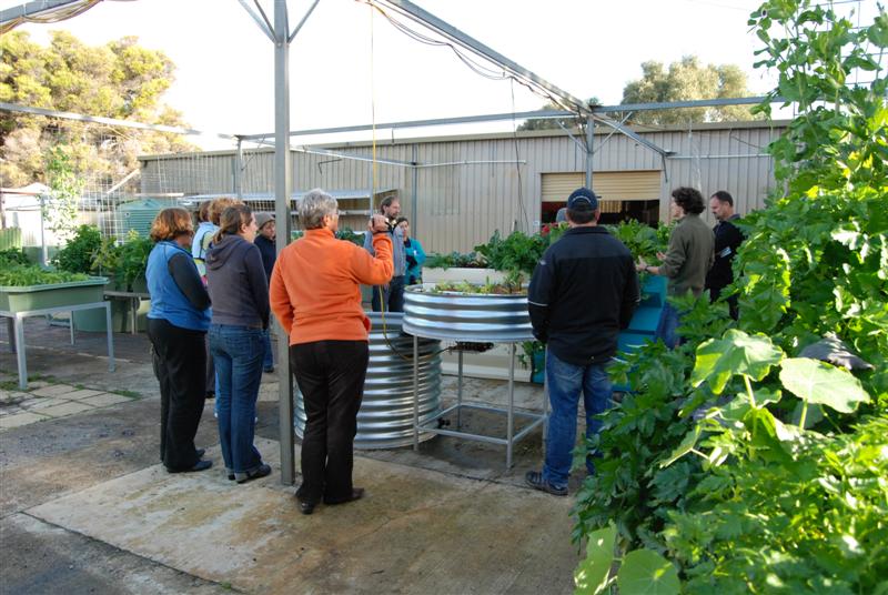 15tth August 2009 110 (Medium).jpg