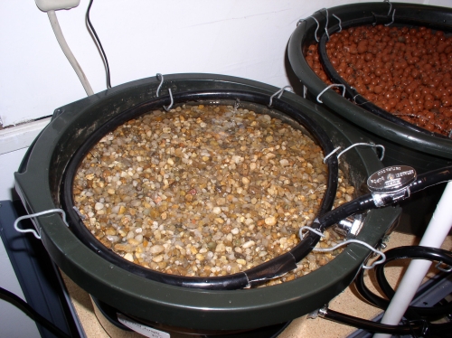 02 ap grow bed left front.JPG