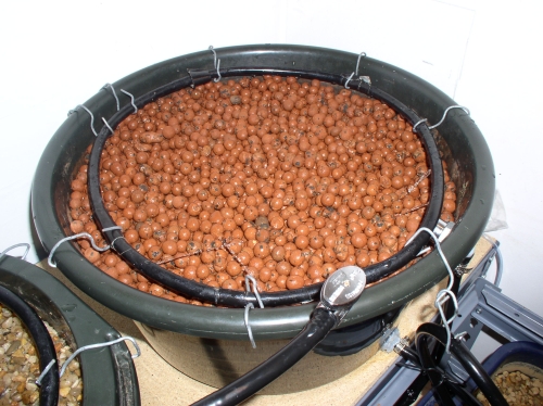 03 ap gb left rear.JPG