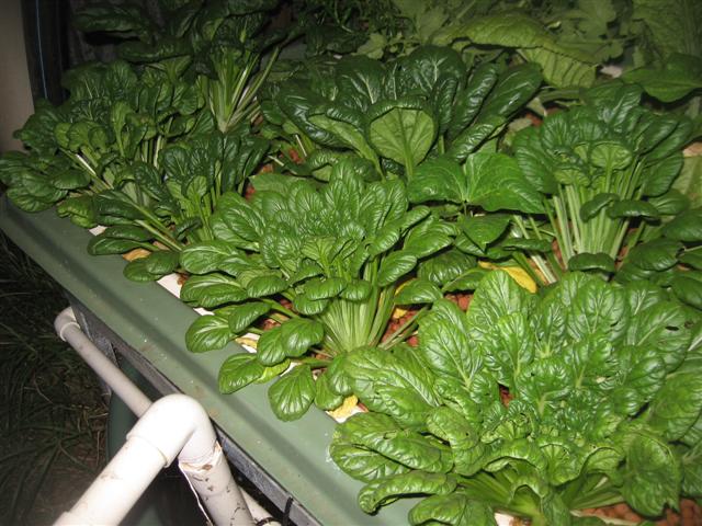 17.08.09 001 (Small).jpg