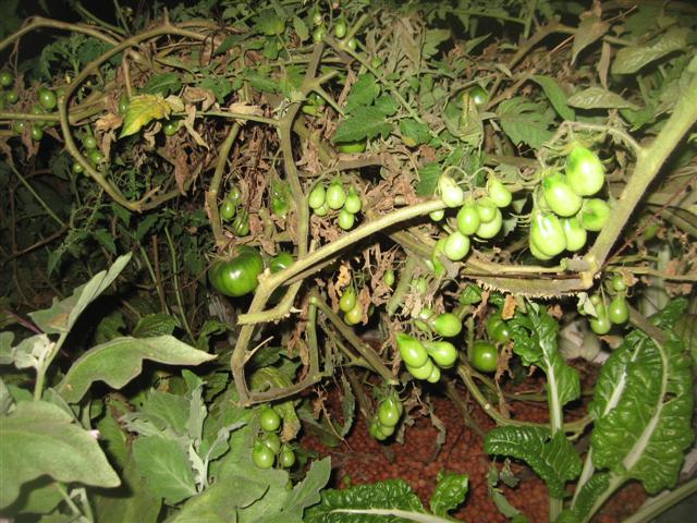 17.08.09 005 (Small).jpg