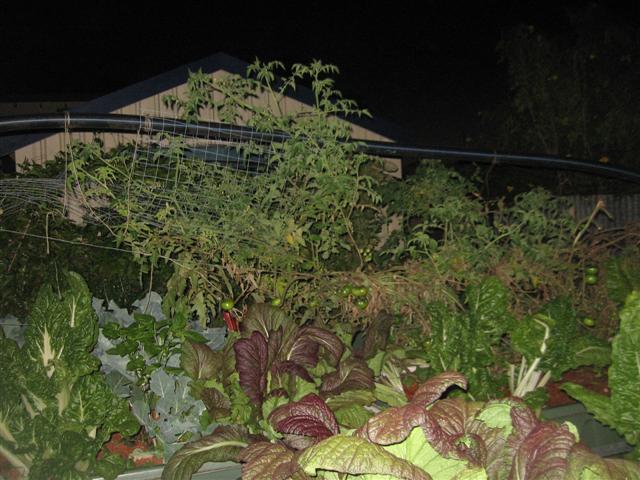 17.08.09 004 (Small).jpg