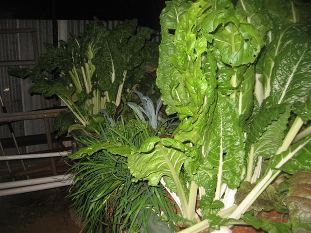 17.08.09 006 (Small).jpg