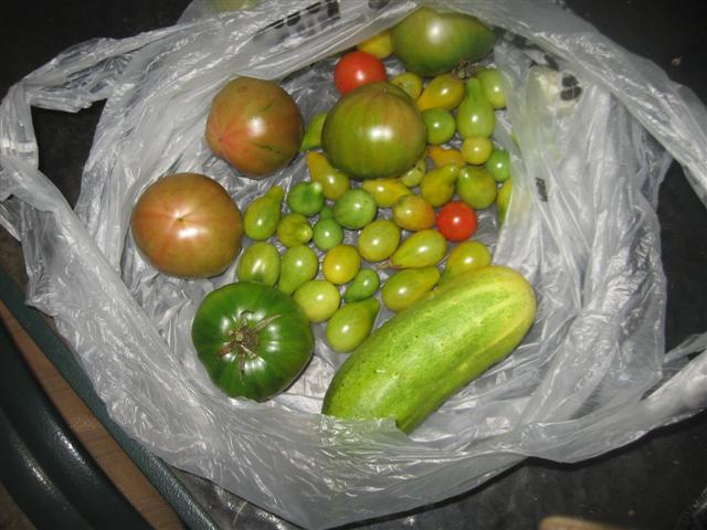 17.08.09 (Small).jpg