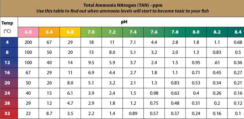 Total%20Ammonia%20Nitrogen%20Table%20(Medium).jpg