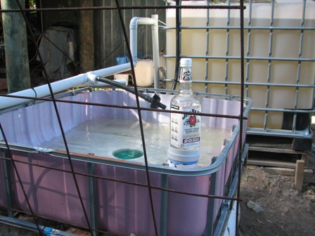 top of ibc as gb.JPG