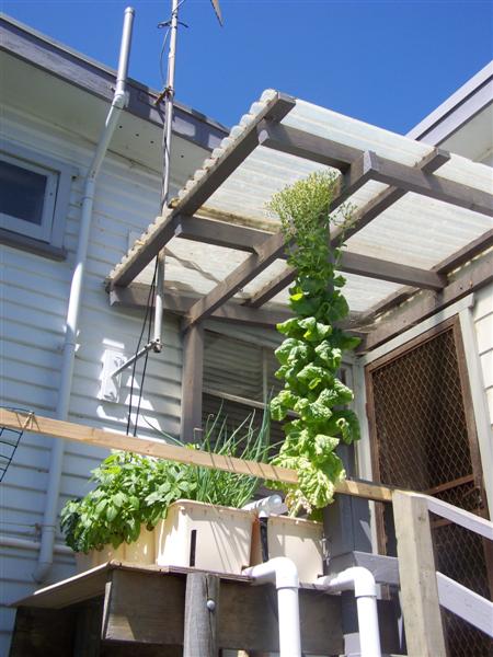 100_2127 (Medium).JPG