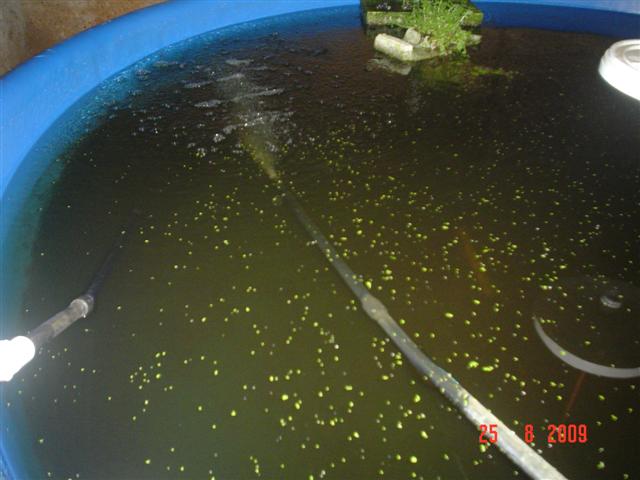 DSC02304 (Small).JPG