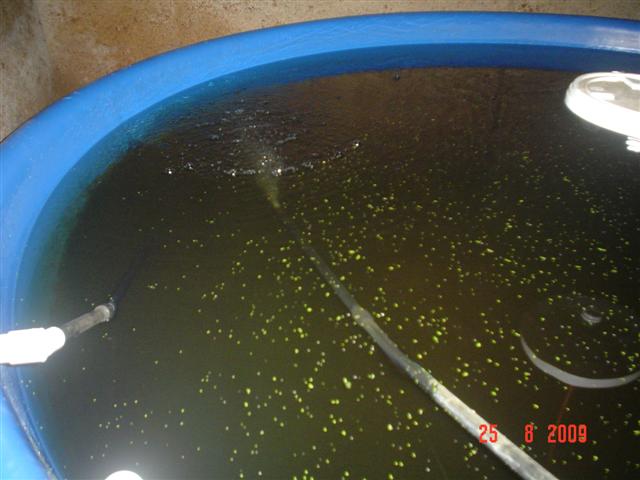 DSC02305 (Small).JPG