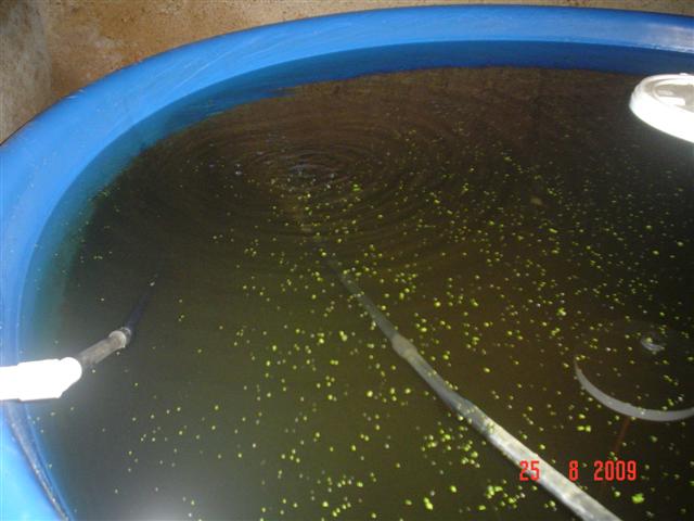 DSC02306 (Small).JPG