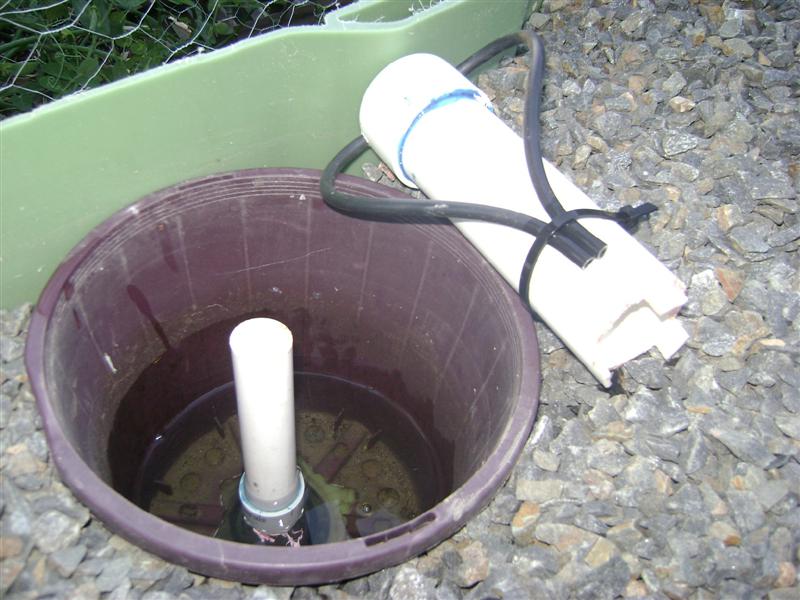 craig aquaponics 260809 004 (Medium).jpg