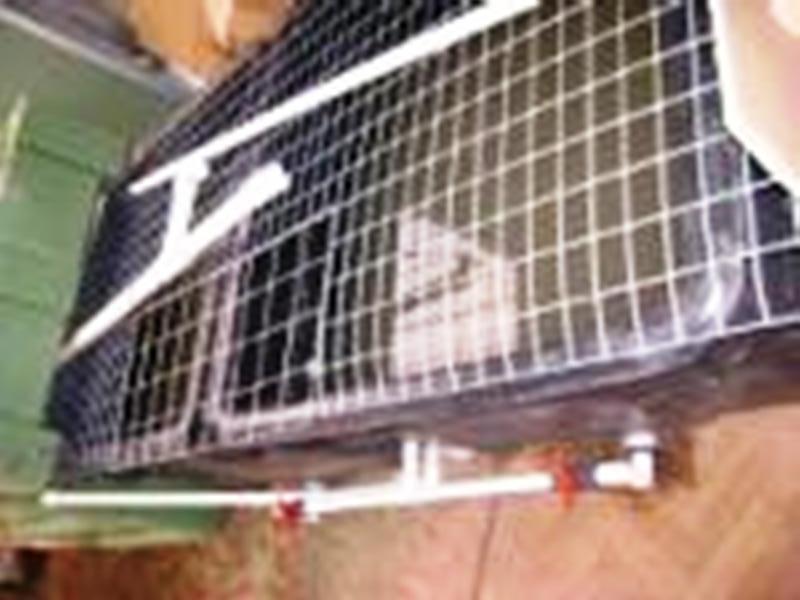 craig aquaponics 250809 001.jpg