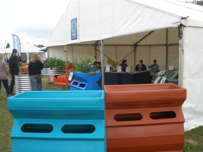 28th August 2009 013 (Medium).jpg