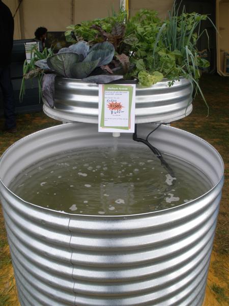 28th August 2009 015 (Medium) (2).jpg