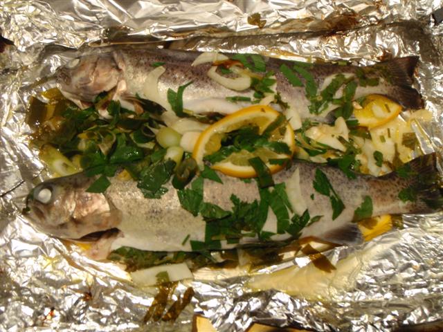 Ready for dinner.jpg