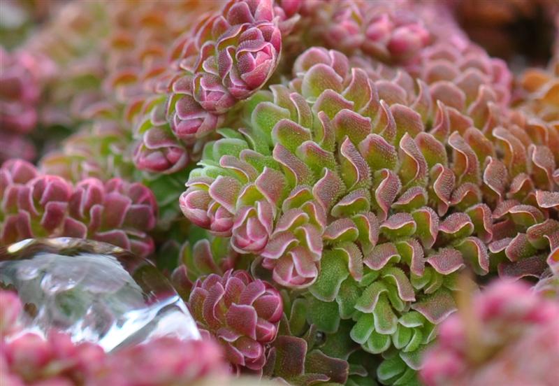 DSC_024211 (Medium).jpg