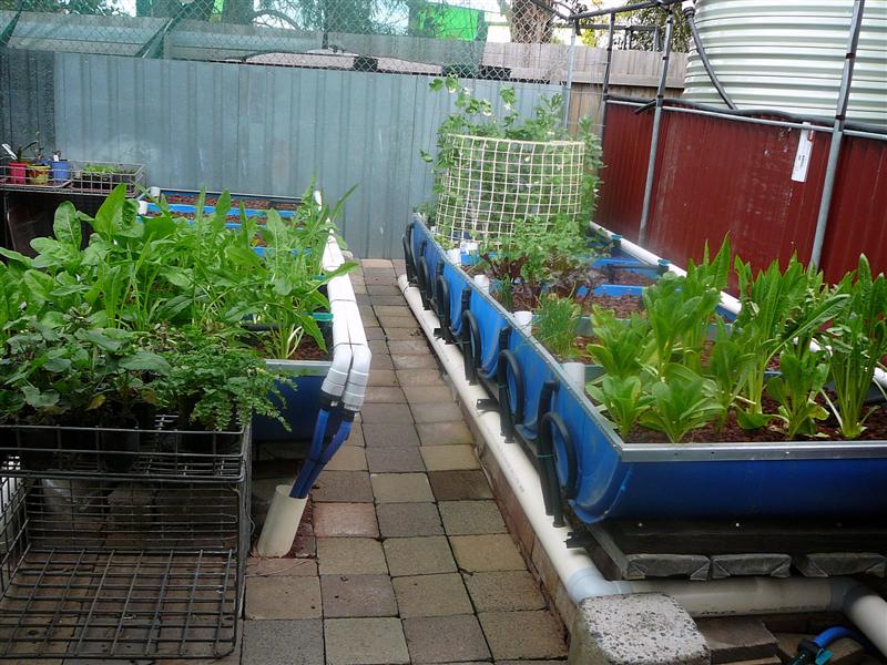 MTO 012 (Medium).jpg