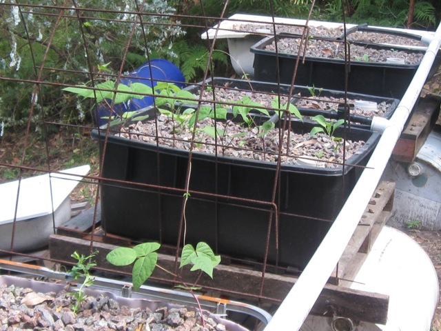 come on little fellas...reach for the sky...jpg