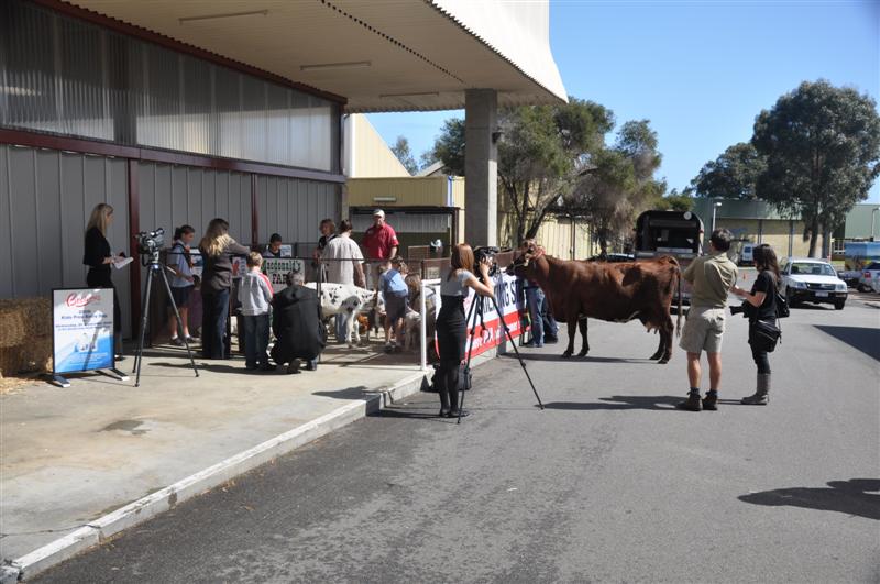 DSC_0295 (Medium).JPG