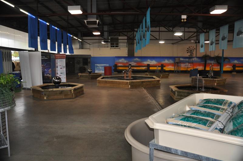 DSC_0280 (Medium).JPG