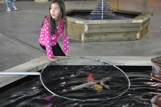 DSC_0326 (Small).JPG