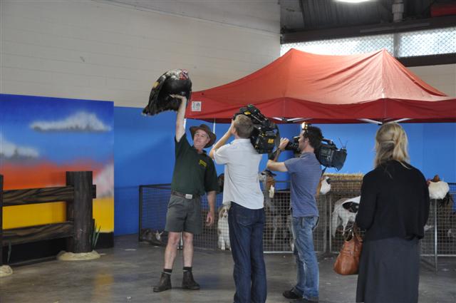 DSC_0329 (Small).JPG