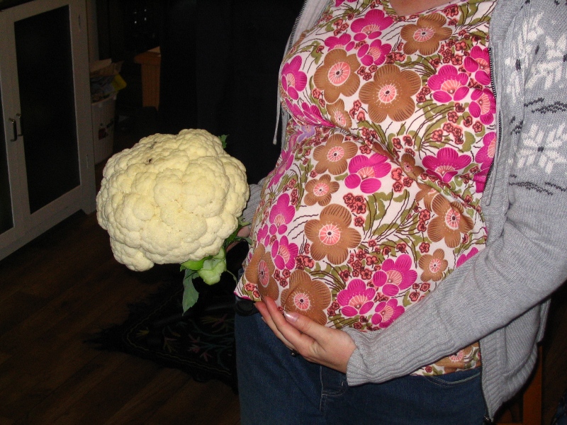 Cauliflower 09-09-09 003.jpg