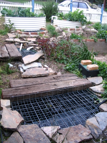 Aquaponics 09-09-09 004.jpg