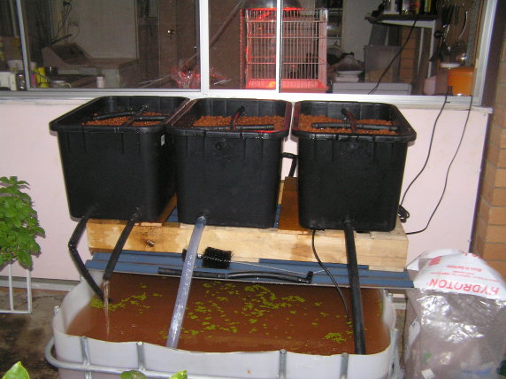 grow bed aquaponics front photo.jpg