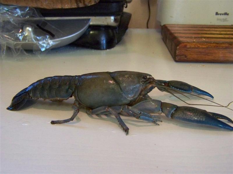 100_3448 (Medium).JPG