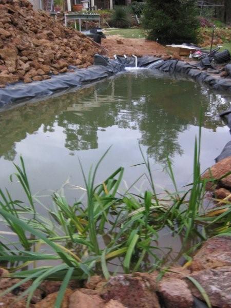 Pond (GB Background).jpg