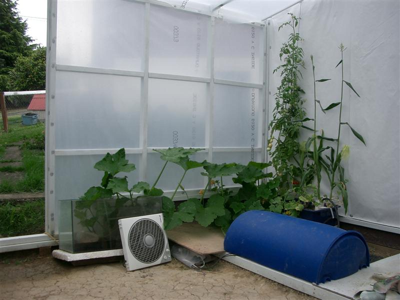 Pumpkintakingover (Medium).JPG