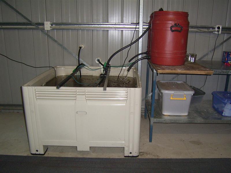 Growing Platform - 14 Jan 07 002 (Medium).jpg