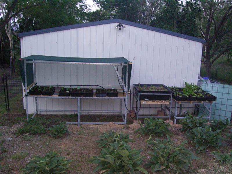 Growing Platform - 14 Jan 07 009 (Medium).jpg