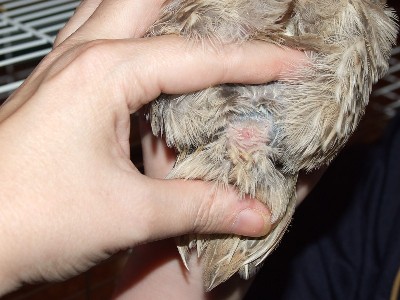 Copy of DSCF0405.jpg