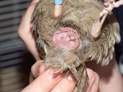 Copy of DSCF0398.jpg