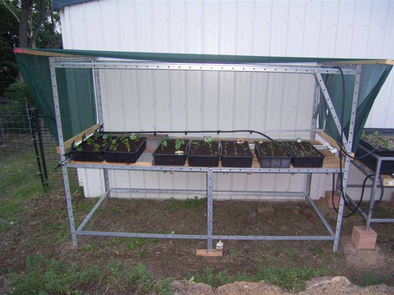 Growing Platform - 14 Jan 07 006 (Medium).jpg