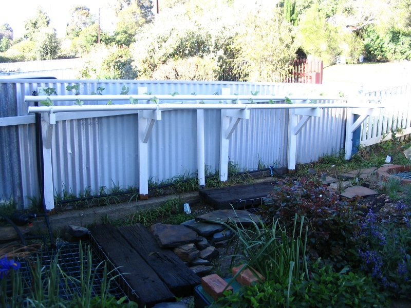 Phase II 22-09-09 - 006.jpg