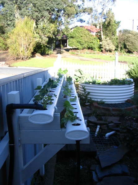 Phase II 22-09-09 - 007.jpg