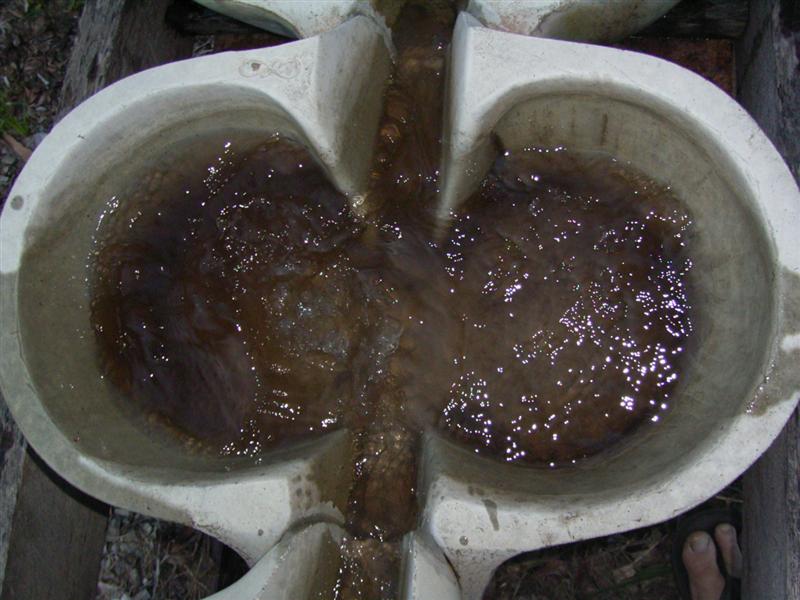 Growing Platform - 14 Jan 07 008 (Medium).jpg