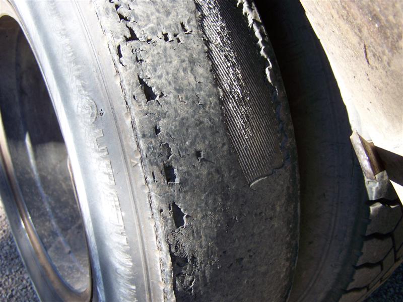 100_3533 (Medium).JPG