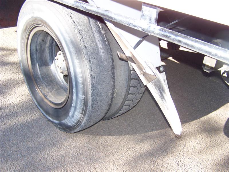 100_3535 (Medium).JPG