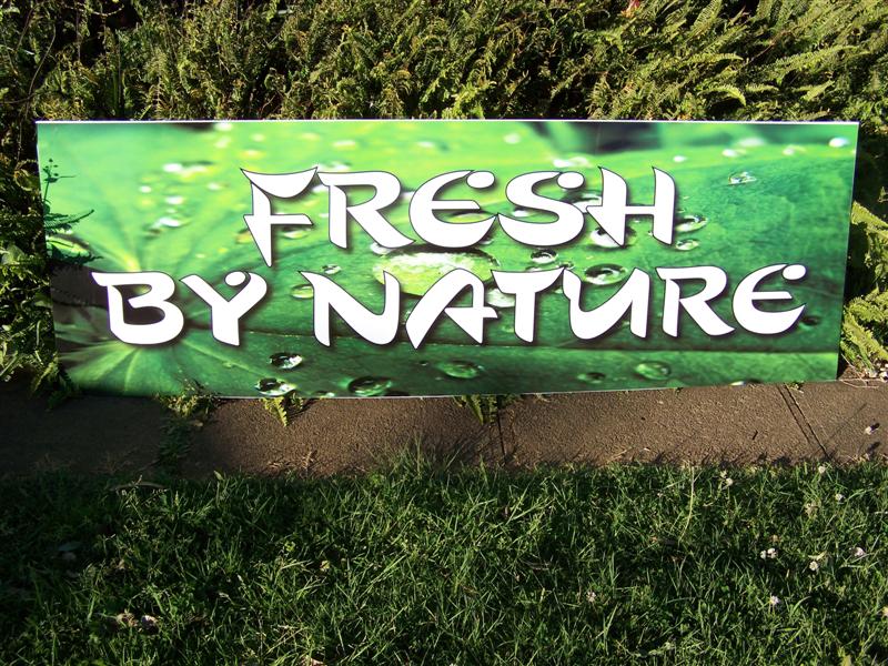 100_3536 (Medium).JPG