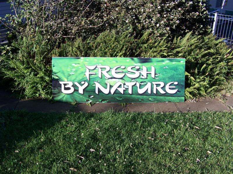 100_3537 (Medium).JPG