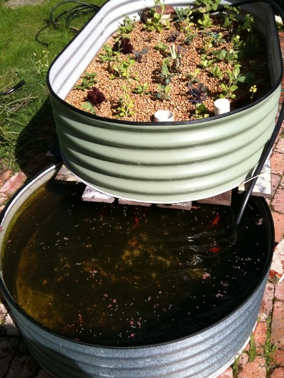 test front view 3 weeks.jpg