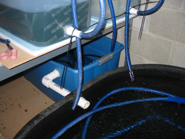 Tank Drain and Sump.jpg